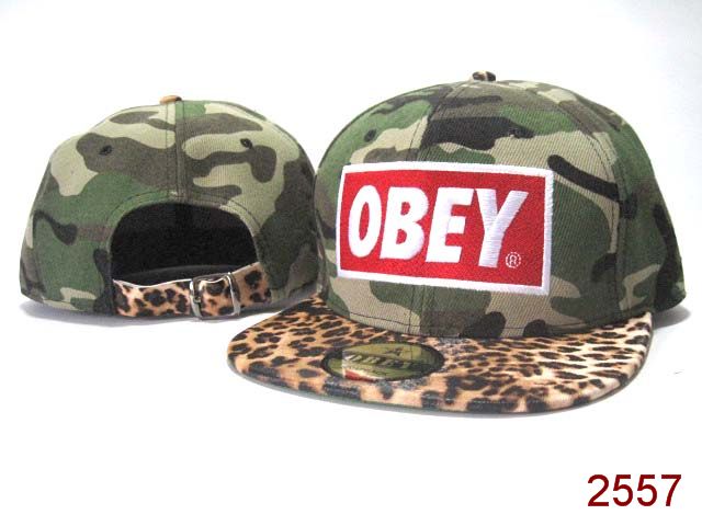 OBEY Snapback Hat SG59
